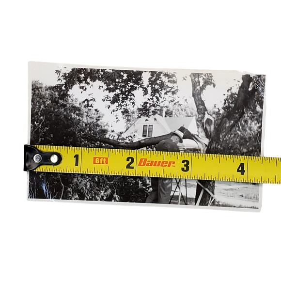 Vtg Man Fixing Fallen Tree Original Monochrome Photography Found 1950 Landscape - Picture 3 of 4